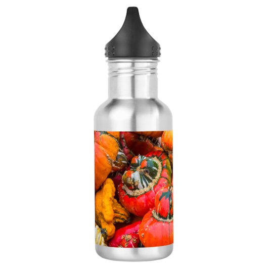 Bunte Kürbis Edelstahlflasche (Links)