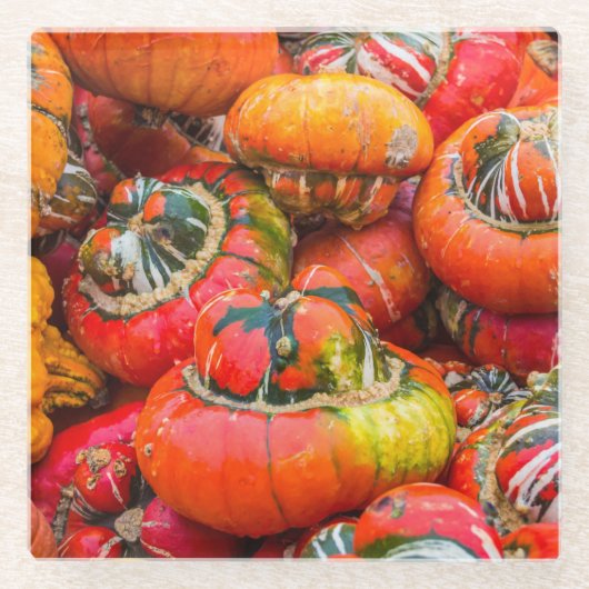 Bunte Kürbis Glasuntersetzer (Vorderseite)