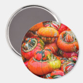 Bunte Kürbis Magnet (Vorderseite/Rückseite)