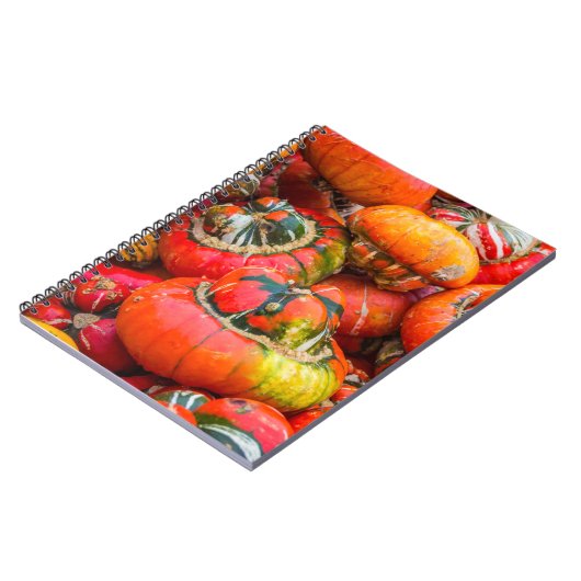 Bunte Kürbis Notizblock (Linke Seite)