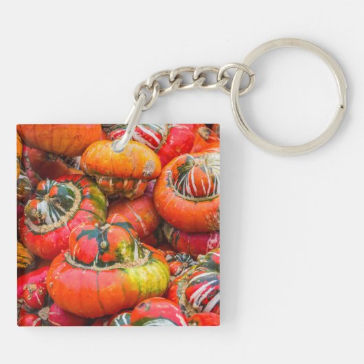 Bunte Kürbis Schlüsselanhänger (Rückseite)