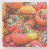 Bunte Kürbis Steinuntersetzer (Vorderseite)