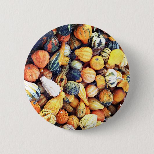 Bunte Kürbisse C Button (Vorderseite)