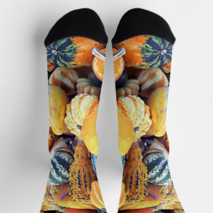 Bunte Kürbisse in Nahaufnahme Socken