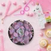 Bunte lila Echeveria Regentropfen saftig Pappteller (Party)