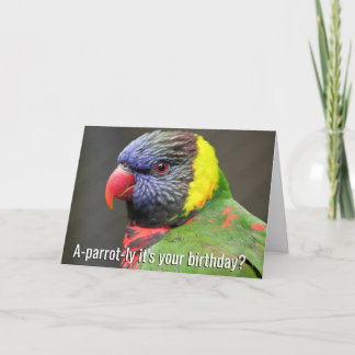 Bunte Lorikeet Geburtstags-Karte Karte