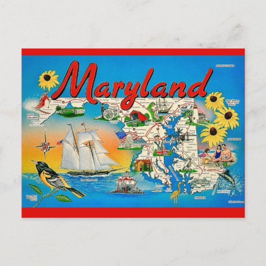 Bunte Maryland-Karte Postkarte (Vorderseite)