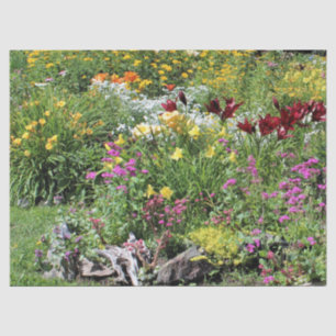 Bunte mittlere Sommer-Gärten! Seidenpapier