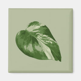 Bunte Monstera Albo Magnet