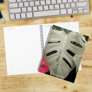 Bunte Monstera-Blatt-Blumen Planer