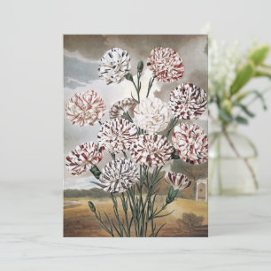 Bunte Nelken mit grauem Himmel im Vintage-Stil