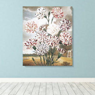 Bunte Nelken mit grauem Himmel im Vintage-Stil Leinwanddruck