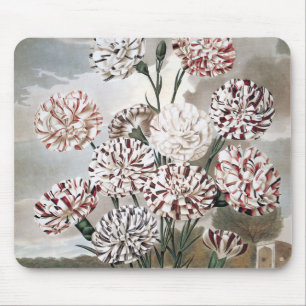 Bunte Nelken mit grauem Himmel im Vintage-Stil Mousepad