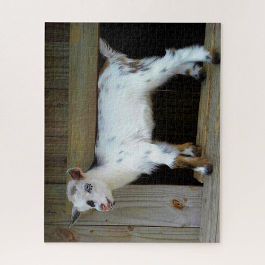 Bunte nigerianische Zwergziege mit blauen Augen Puzzle (Vertikal)