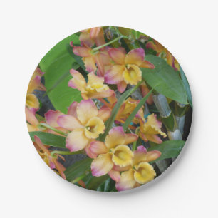 Bunte Orchideen-PapierTeller Pappteller