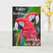 Bunte Papageien Geburtstagskarte Karte (Gelbe Blume)