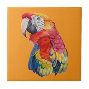 Bunte Papageien-Wasserfarben-Illustration Fliese