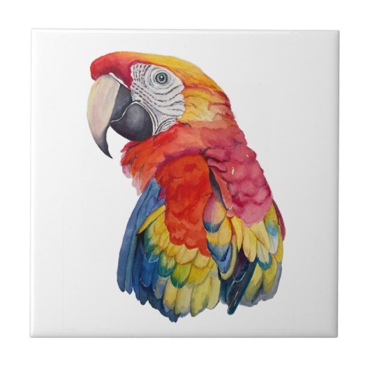 Bunte Papageien-Wasserfarben-Illustration Fliese (Vorderseite)