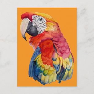Bunte Papageien-Wasserfarben-Illustration Postkarte