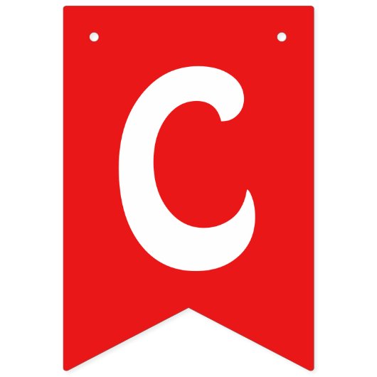 Bunte Party-Flaggen-Gewohnheits-Fahne Wimpelkette (Erste Fahne)