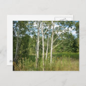 Bunte Postkarte (Vorne/Hinten)