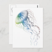 bunte Qualle Postkarte (Vorne/Hinten)