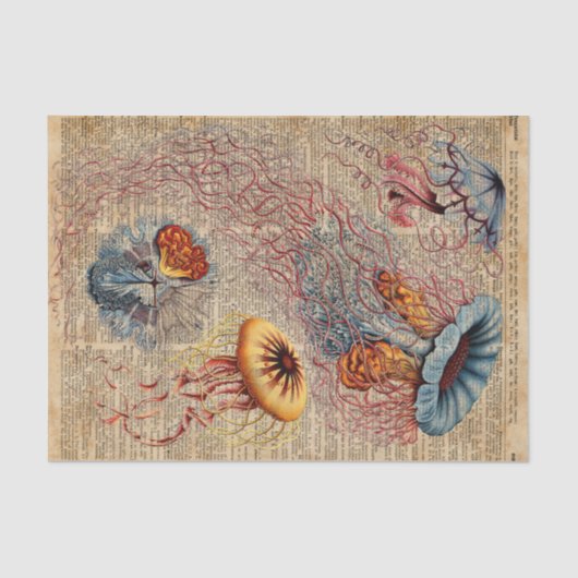 Bunte Quallen-Seeleben-Vintage altes Buch-Seite Seidenpapier (Vorderseite)