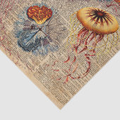 Bunte Quallen-Seeleben-Vintage altes Buch-Seite Seidenpapier (Ausschnitt)