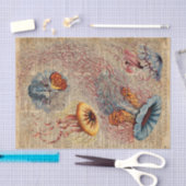 Bunte Quallen-Seeleben-Vintage altes Buch-Seite Seidenpapier (Handwerk)