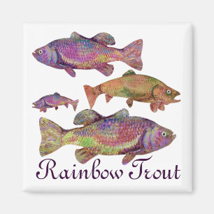 BUNTE REGENBOGENFORELLE MAGNET