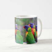Bunte Regenbogenloris Papageien beim Essen Kaffeetasse (VorderseiteRechts)