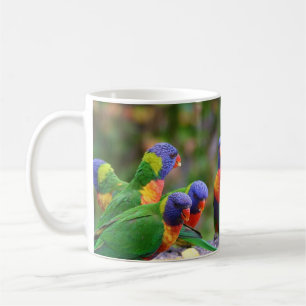 Bunte Regenbogenloris Papageien beim Essen Kaffeetasse