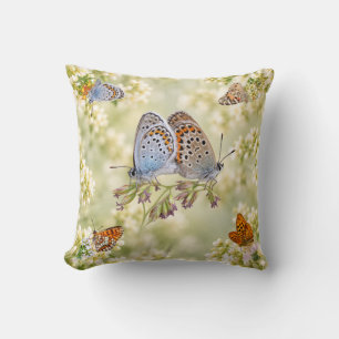 Bunte Schmetterlinge auf einer weichen Wildblumenw Kissen