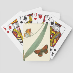 Bunte Schmetterlinge flattern um ein Blatt Spielkarten