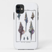 Bunte sieben Seashells Case-Mate iPhone Hülle (Rückseite)