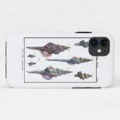 Bunte sieben Seashells Case-Mate iPhone Hülle (Rückseite (Horizontal))