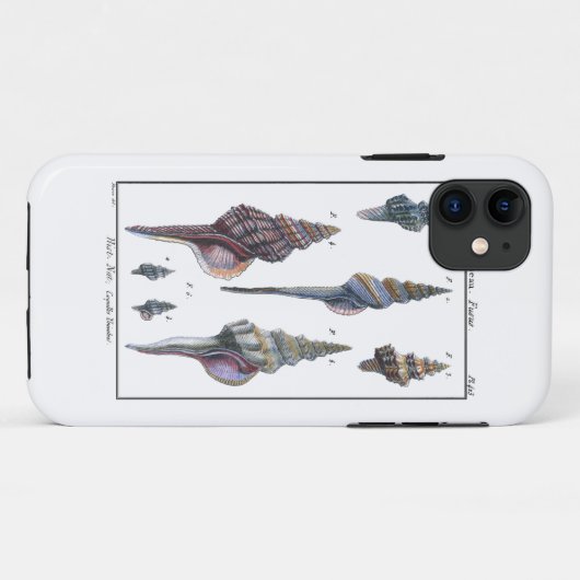 Bunte sieben Seashells Case-Mate iPhone Hülle (Rückseite (Horizontal))