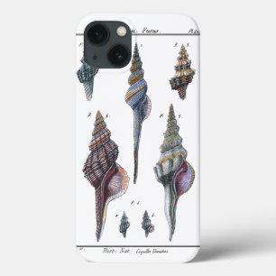 Bunte sieben Seashells Case-Mate iPhone Hülle