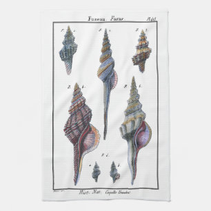 Bunte sieben Seashells Küchentuch