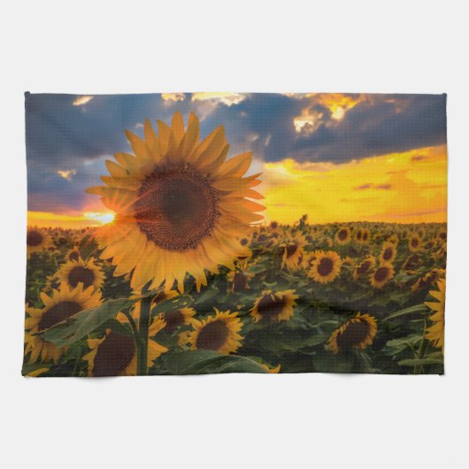 Bunte Sonnenblumen auf einem Gebiet Küchentuch (Horizontal)