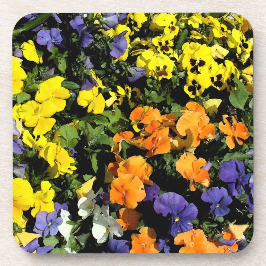 bunte Stiefmütterchen Untersetzer (Vorderseite)