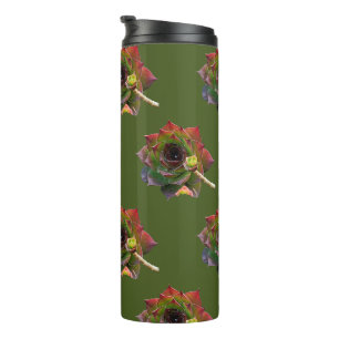 Bunte Sukkulente Sempervivum Pflanze Garten Thermosbecher