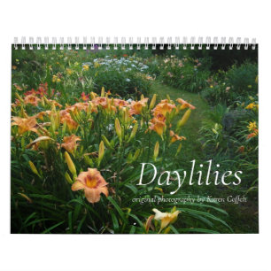 Bunte Taglilien-Hybriden Hemerocallis Kalender