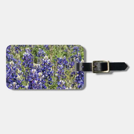 Bunte TexasBluebonnets - Lupinus texensis Gepäckanhänger (Vorderseite horizontal)