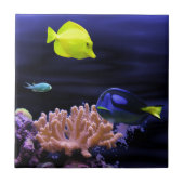 Bunte tropische Fische Fliese (Vorderseite)