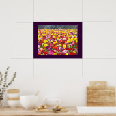 Bunte Tulpe-Blumen-Garten-Festival-Kunst-Drucke Poster (Küche)