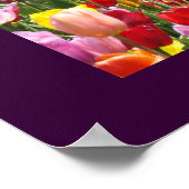 Bunte Tulpe-Blumen-Garten-Festival-Kunst-Drucke Poster (Ecke)