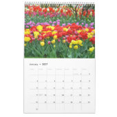 Bunte Tulpen Kalender (Jan 2027)