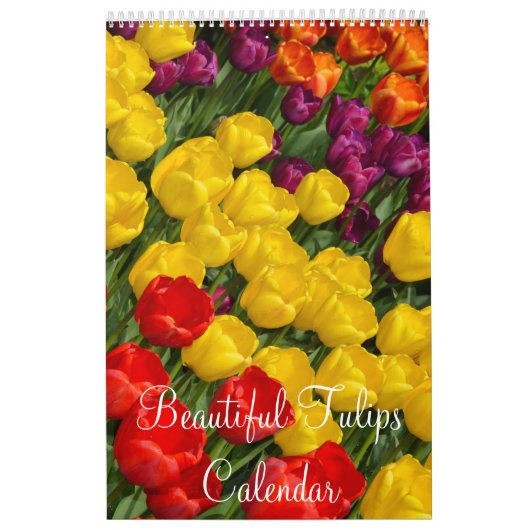 Bunte Tulpen Kalender (Titelbild)
