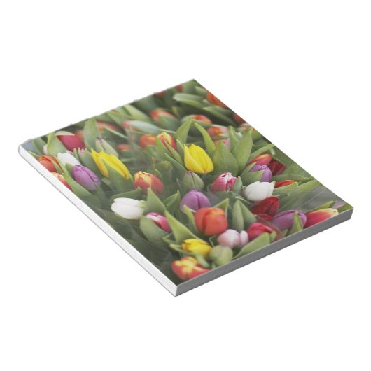 Bunte Tulpen Notizblock (angewinkelt)